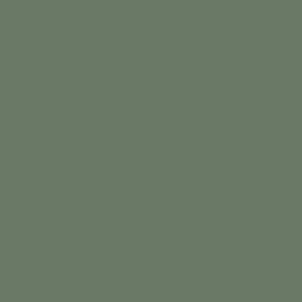 K521 BS Дымчато-зеленый